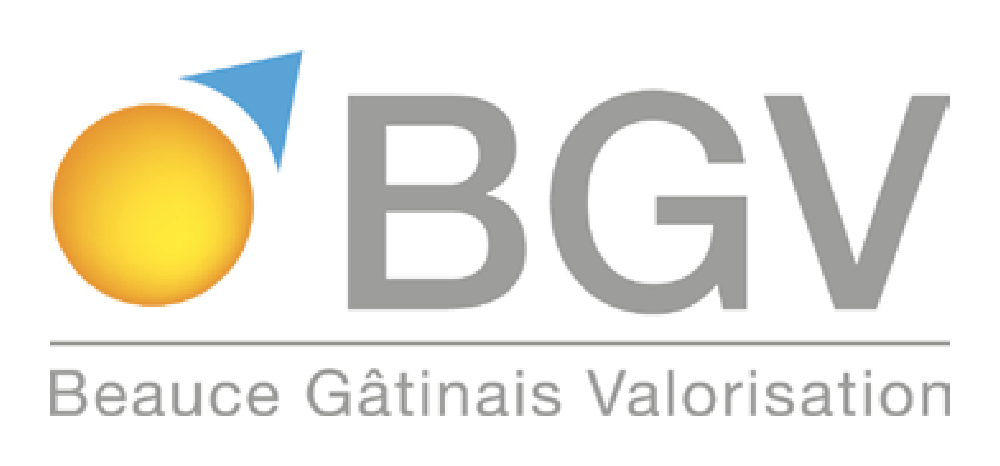 logo BGV